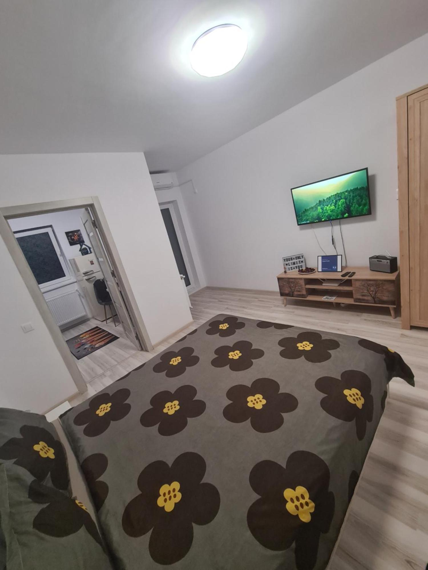 Siriului Studio Boekarest Buitenkant foto